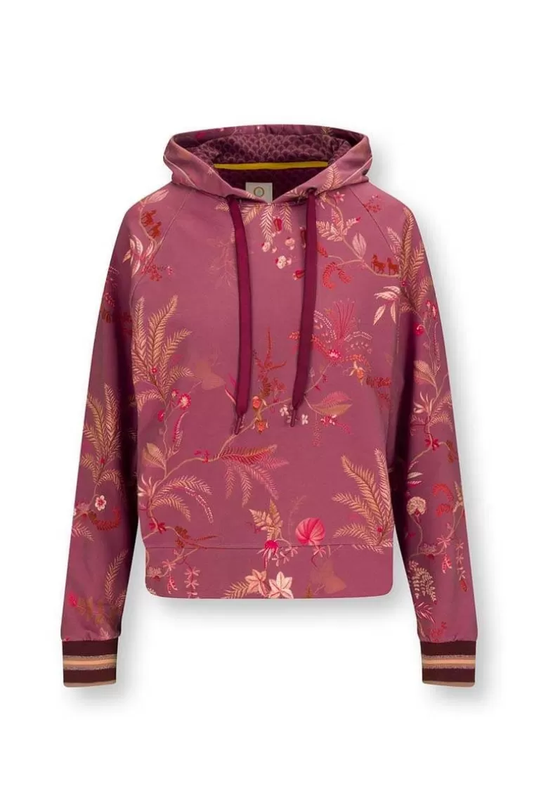 Flash Sale Hoodie Long Sleeve Isola Sport Shirts