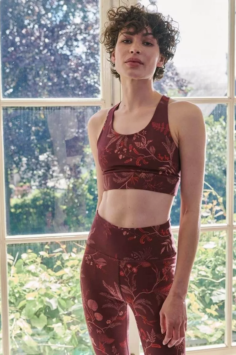 Hot Sport Bra Isola Dark Sport Bras